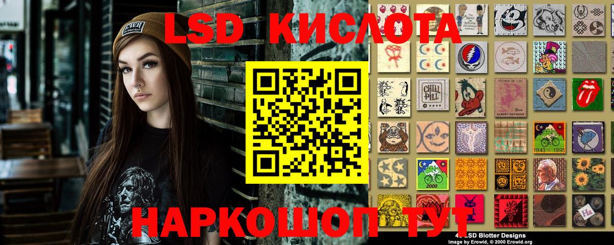 Псилоцибиновые грибы Алексин