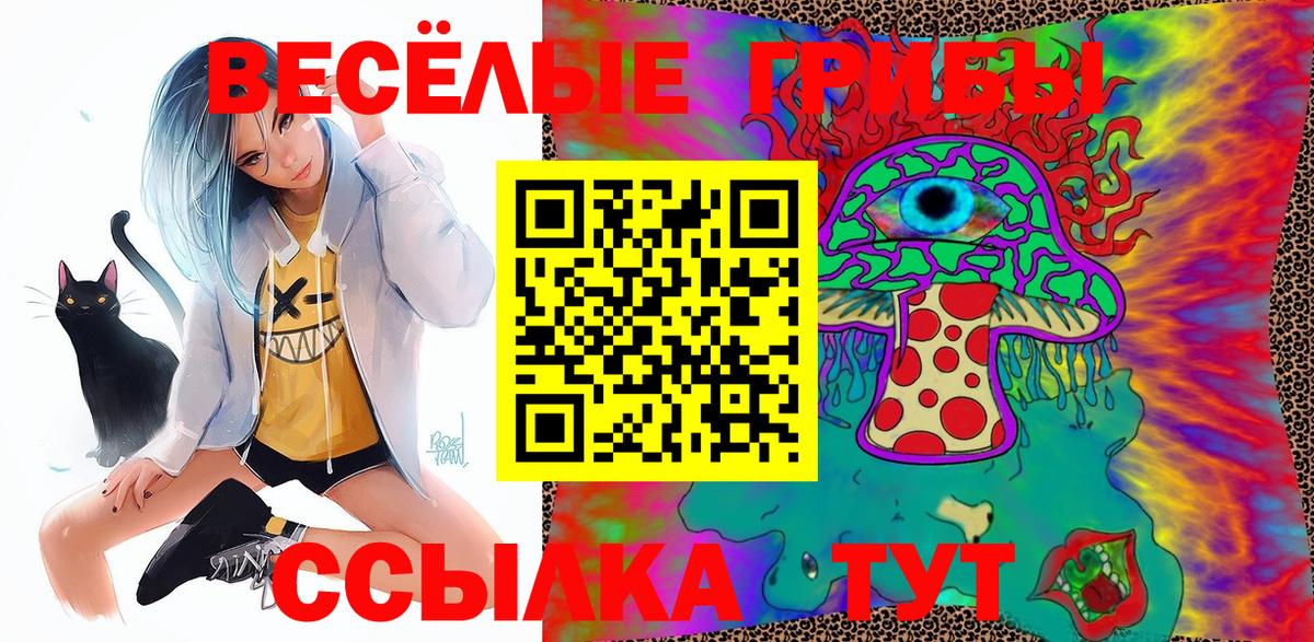 Псилоцибиновые грибы мицелий Алексин